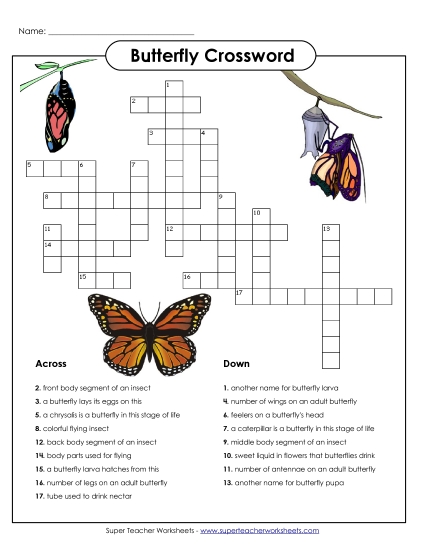 Butterfly Crossword (Intermediate)