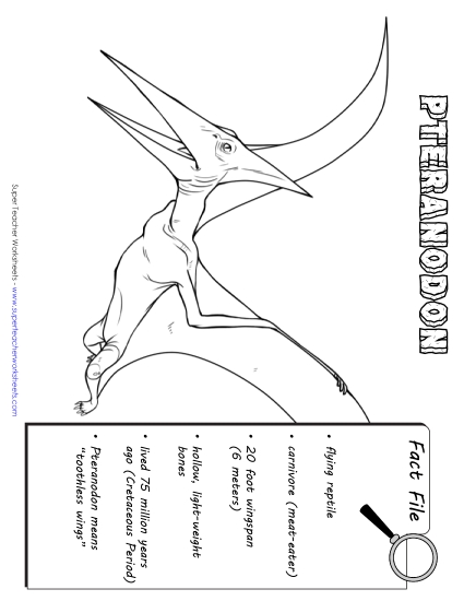 Pteranodon Fact File
