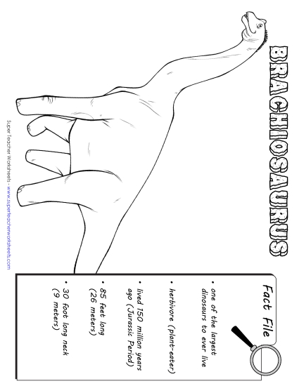 Brachiosaurus Fact File