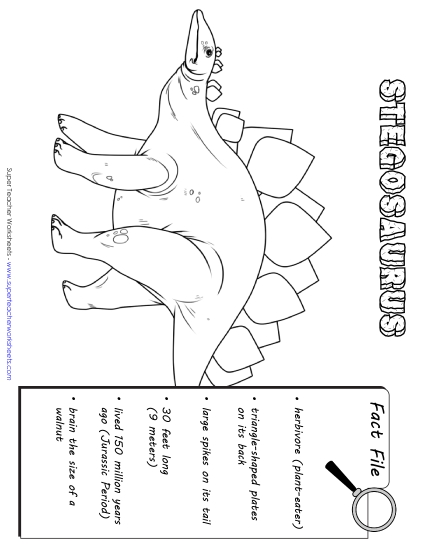 Stegosaurus Fact File