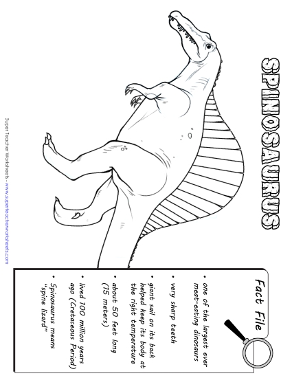 Spinosaurus Fact File