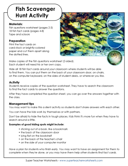 Fish Scavenger Hunt