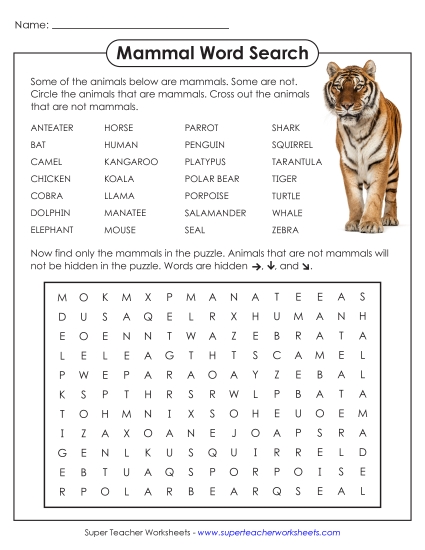 Mammal Word Search