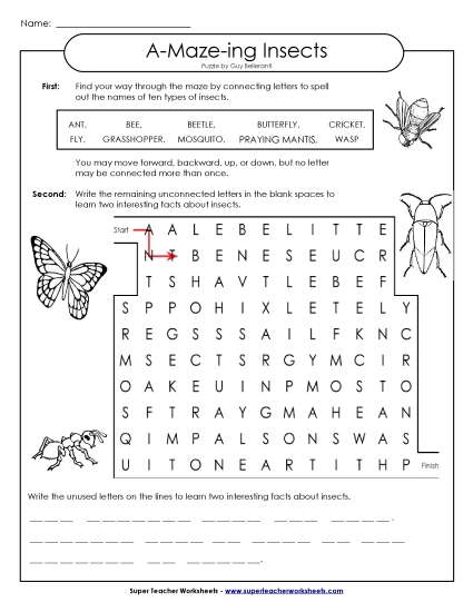 Word-Maze Puzzle: Insects (Intermediate)