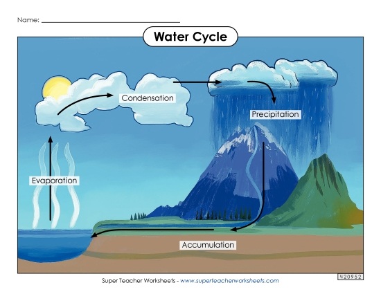 Water Cycle Picture