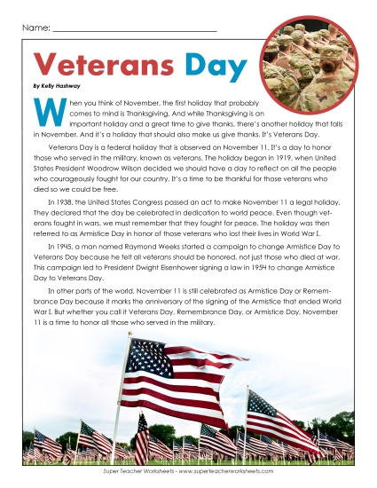 Veterans Day Article