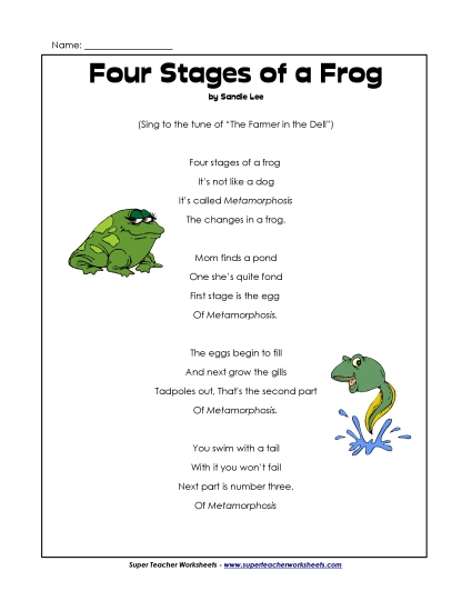 Four Stages of a Frog Song