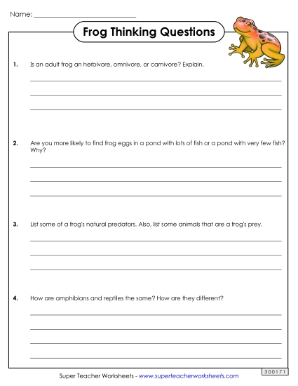 Frog Life Cycle Thinking Questions