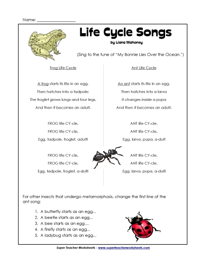 Life Cycle Songs