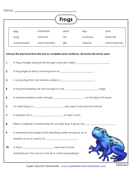 Frog Life Cycle Questions