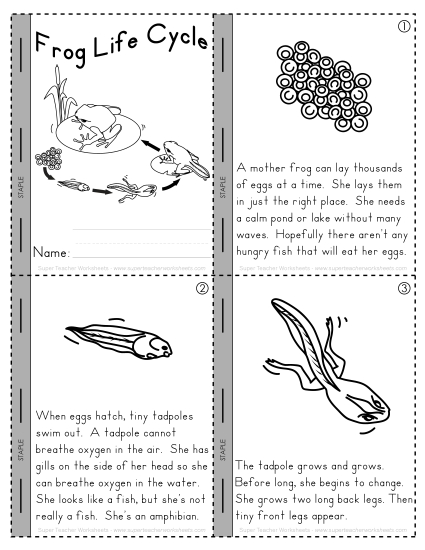 Mini Book: Frog Life Cycle