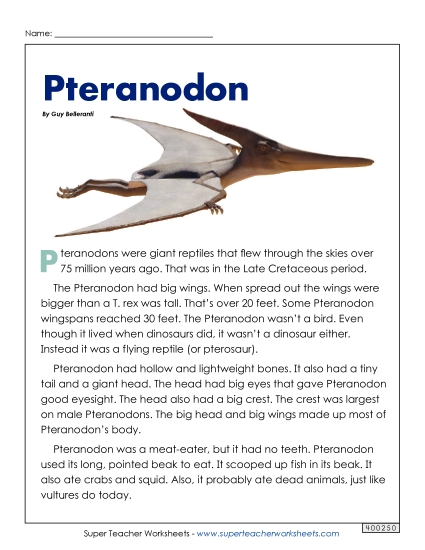Pteranodon