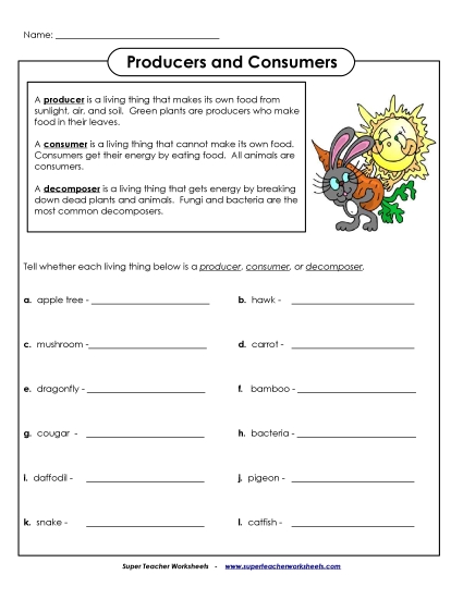 Producers, Consumers, and Decomposers