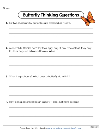 Butterfly Thinking Questions