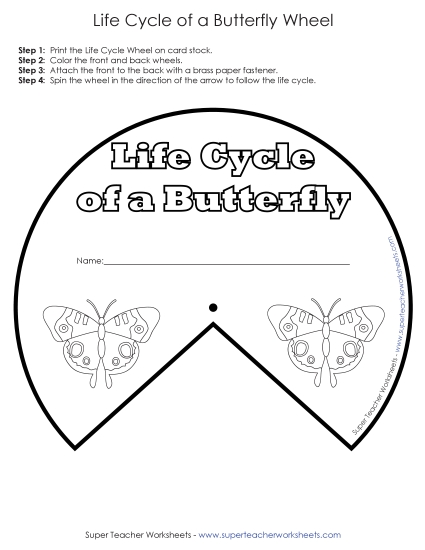 Butterfly Life Cycle Wheel