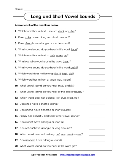 Long & Short Vowel Questions