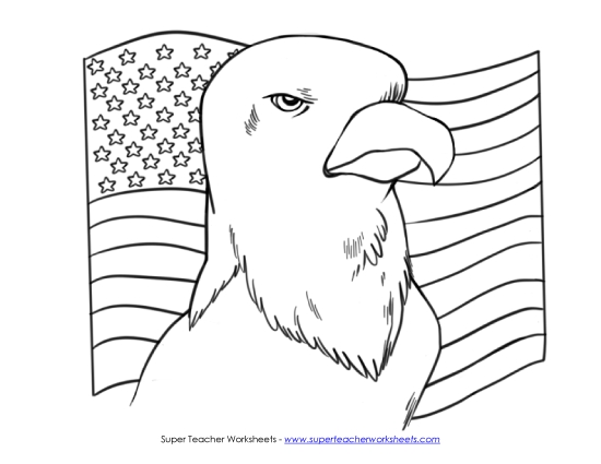 Eagle and Flag