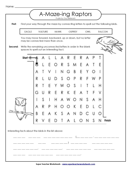 Word Maze: Raptors (Birds)