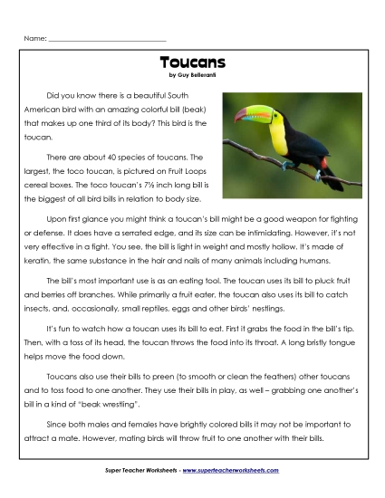 Toucans