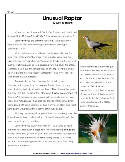 Secretary Bird