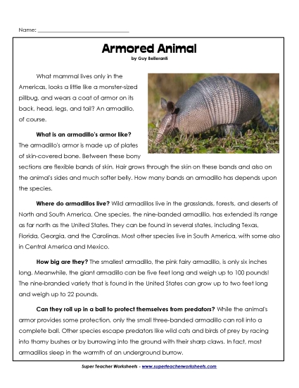 Armadillos