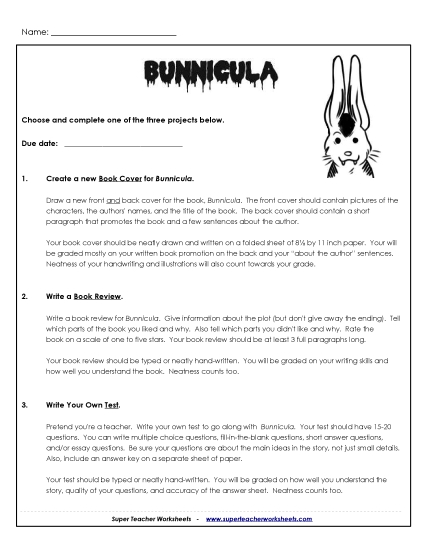 Bunnicula Projects