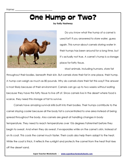 Camels: One Hump or Two?
