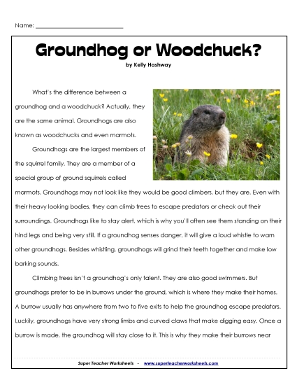 Groundhog or Woodchuck?