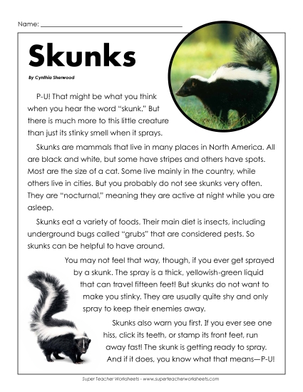 Skunks