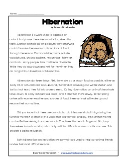 Hibernation