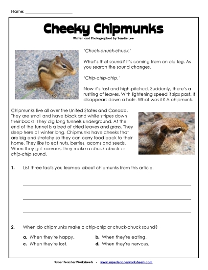Cheeky Chipmunks (Short, Nonfiction)