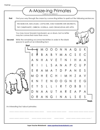 A-Maze-ing Puzzle: Primates