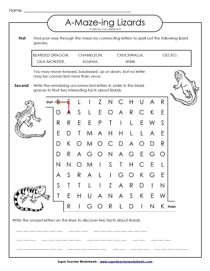 A-Maze-ing Puzzle: Lizards