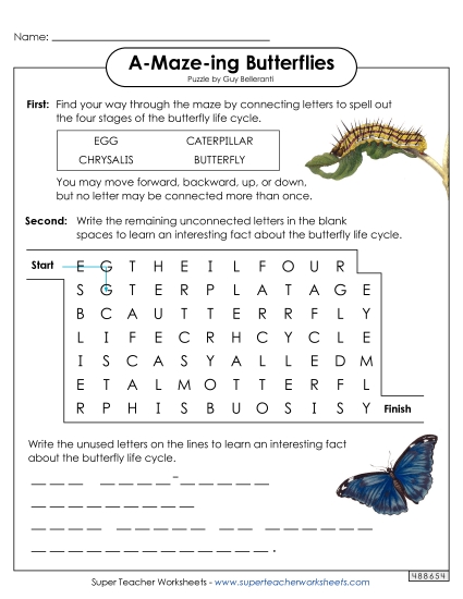 Word-Maze Puzzle: Butterfly Life Cycle