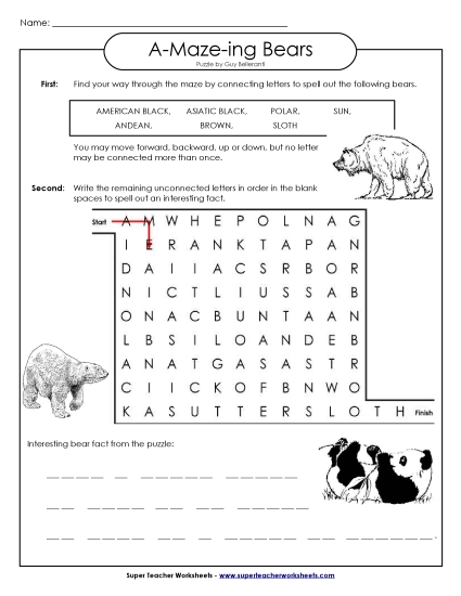 A-Maze-ing Puzzle: Bears