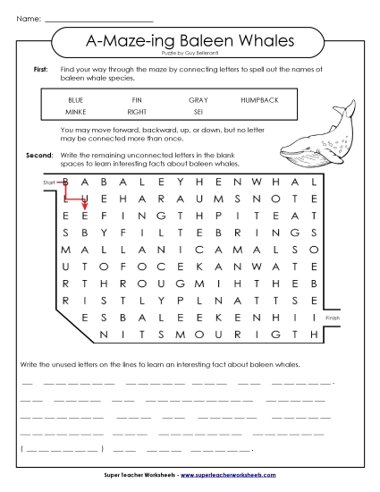 A-Maze-ing Puzzle: Whales