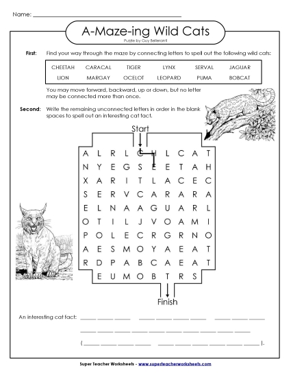 A-Maze-ing Puzzle: Wild Cats