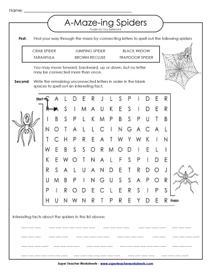 A-Maze-ing Puzzle: Spiders