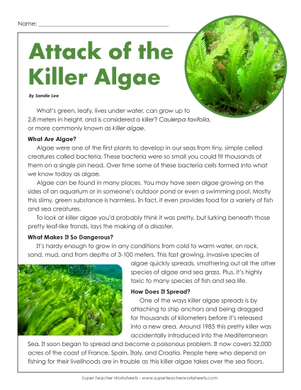 Attack of the Killer Algae