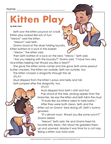 Kitten Play 2nd Grade Reading Comprehension Worksheet