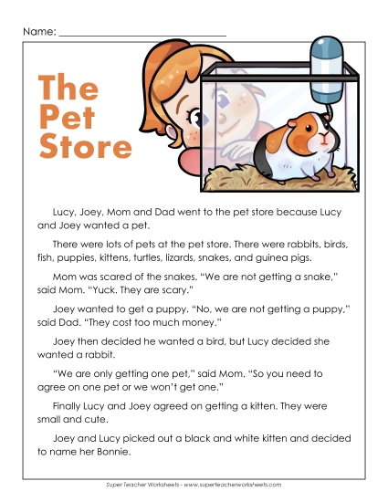 Pet Store Reading Comprehension Worksheet