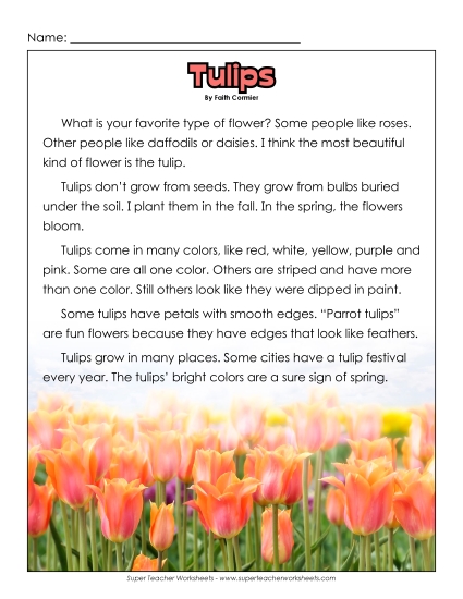Tulips 2nd Grade Reading Comprehension Worksheet