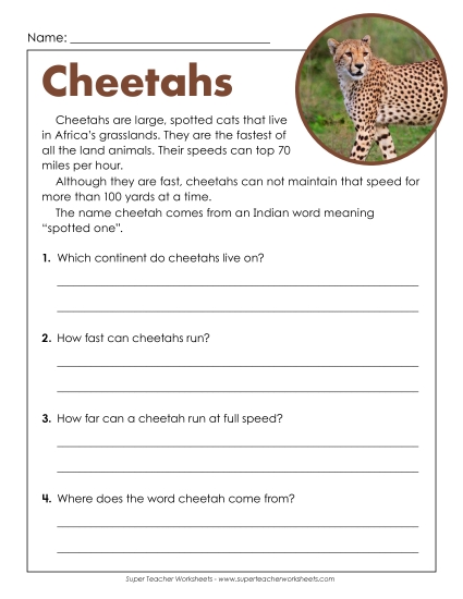 Cheetahs (Short) Reading Comprehension Worksheet