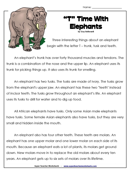 Elephants 2nd Grade Reading Comprehension Worksheet