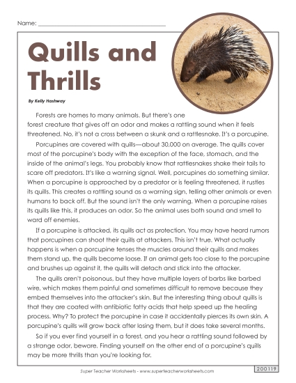 Quills and Thrills (Article)