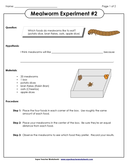 Mealworm Experiment #2