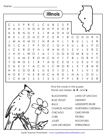 Word Search Puzzle