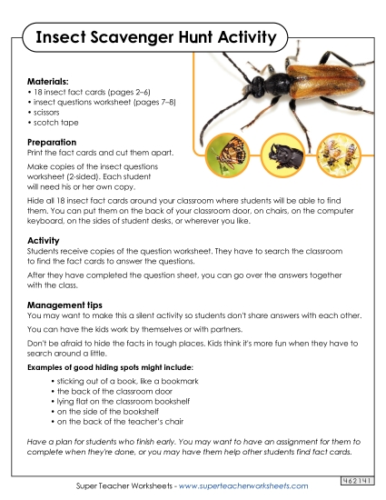 Insect Scavenger Hunt