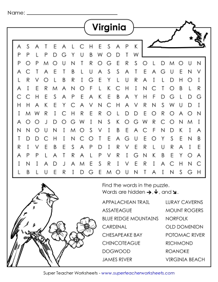 Word Search Puzzle