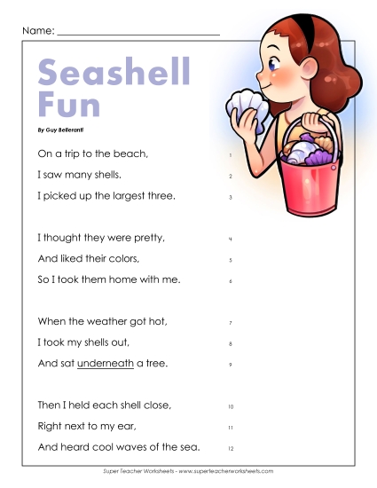 Seashell Fun